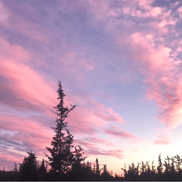 Meet your Posher, Jacqueline - Picture 1 of 1